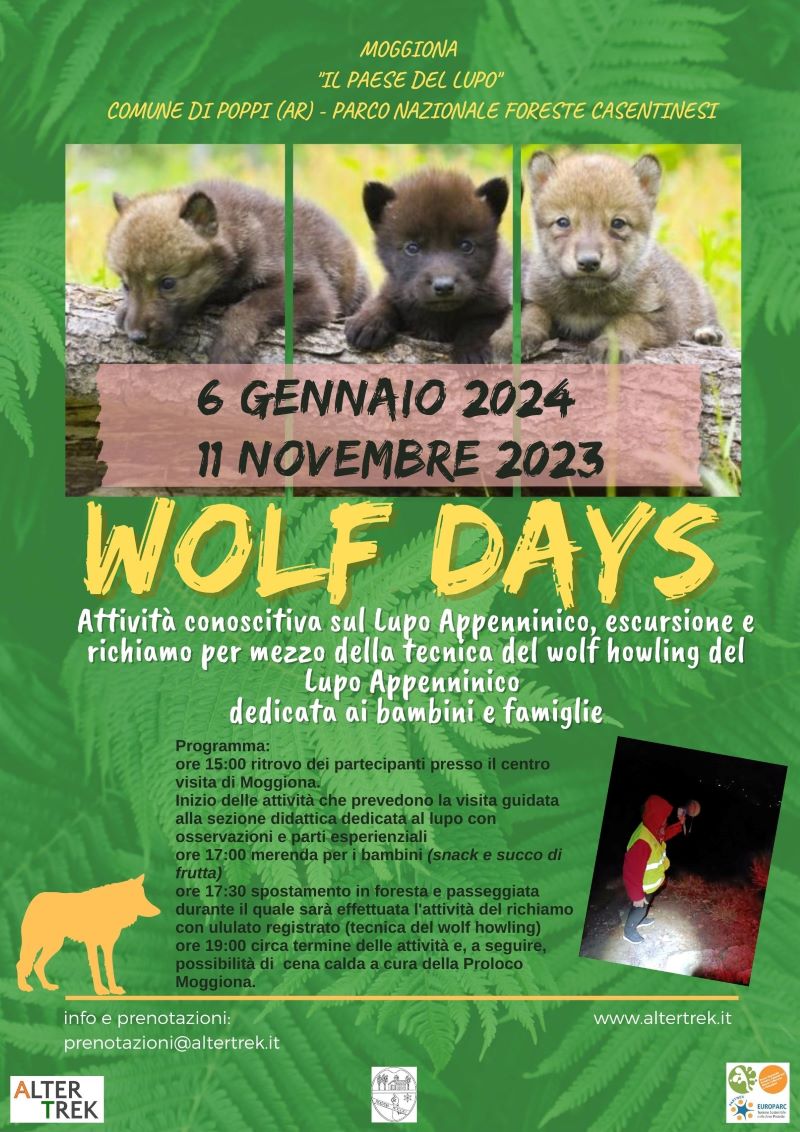 lupo wolf day 2024.jpg Parco Nazionale Foreste Casentinesi